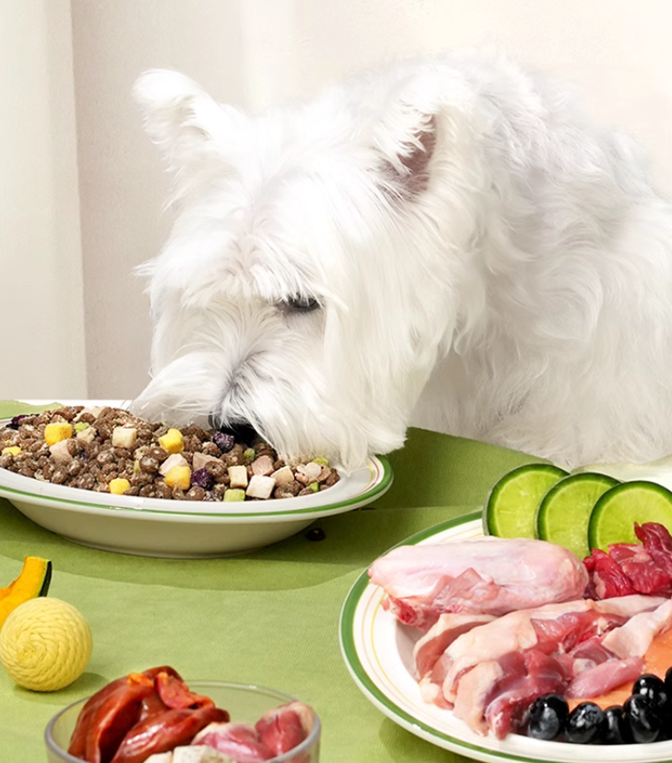 狗糧品牌定位案例分析